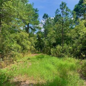 Photo #24 of SOLD property in Off Dixon Road, Bethel, NC 33.0 acres