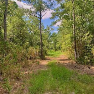 Photo #25 of SOLD property in Off Dixon Road, Bethel, NC 33.0 acres