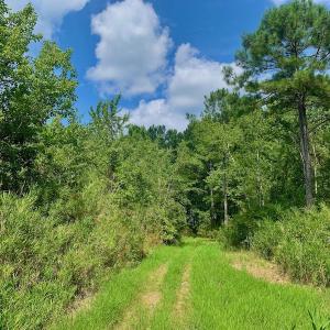 Photo #27 of SOLD property in Off Dixon Road, Bethel, NC 33.0 acres