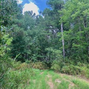 Photo #28 of SOLD property in Off Dixon Road, Bethel, NC 33.0 acres