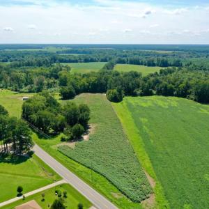 Photo #2 of SOLD property in Off Hwy 903, Scotland Neck, NC 26.7 acres