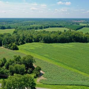 Photo #3 of SOLD property in Off Hwy 903, Scotland Neck, NC 26.7 acres