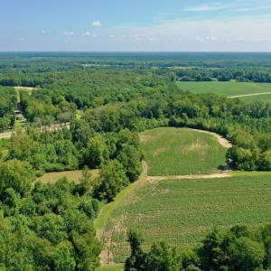 Photo #5 of SOLD property in Off Hwy 903, Scotland Neck, NC 26.7 acres