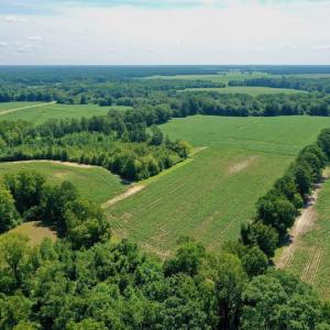 Photo #6 of SOLD property in Off Hwy 903, Scotland Neck, NC 26.7 acres