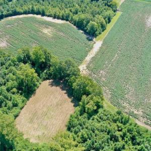 Photo #10 of SOLD property in Off Hwy 903, Scotland Neck, NC 26.7 acres