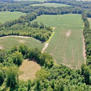 Photo #11 of SOLD property in Off Hwy 903, Scotland Neck, NC 26.7 acres