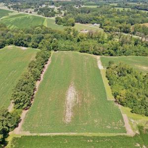 Photo #12 of SOLD property in Off Hwy 903, Scotland Neck, NC 26.7 acres