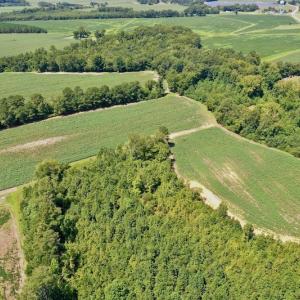 Photo #14 of SOLD property in Off Hwy 903, Scotland Neck, NC 26.7 acres
