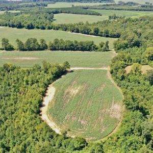 Photo #15 of SOLD property in Off Hwy 903, Scotland Neck, NC 26.7 acres