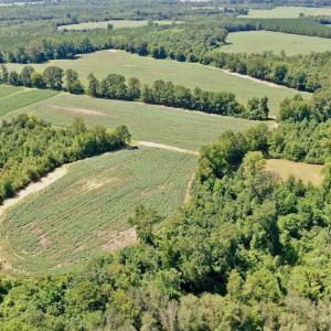 Photo #16 of SOLD property in Off Hwy 903, Scotland Neck, NC 26.7 acres