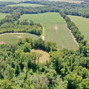 Photo #18 of SOLD property in Off Hwy 903, Scotland Neck, NC 26.7 acres