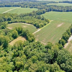 Photo #19 of SOLD property in Off Hwy 903, Scotland Neck, NC 26.7 acres