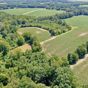 Photo #20 of SOLD property in Off Hwy 903, Scotland Neck, NC 26.7 acres