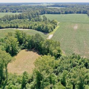 Photo #22 of SOLD property in Off Hwy 903, Scotland Neck, NC 26.7 acres