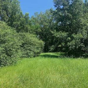 Photo #29 of SOLD property in Off Hwy 903, Scotland Neck, NC 26.7 acres