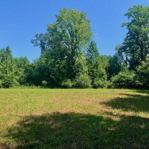 Photo #39 of SOLD property in Off Hwy 903, Scotland Neck, NC 26.7 acres