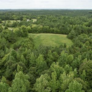 Photo #21 of SOLD property in 2000 Watts Trail, Virgilina, VA 107.9 acres