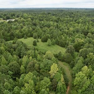 Photo #23 of SOLD property in 2000 Watts Trail, Virgilina, VA 107.9 acres