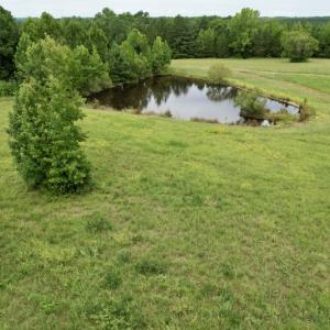 Photo #26 of SOLD property in 2000 Watts Trail, Virgilina, VA 107.9 acres