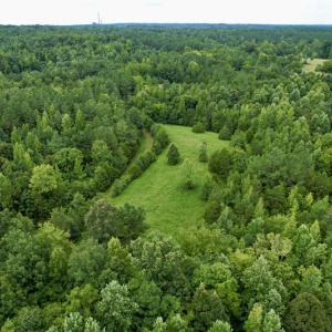 Photo #27 of SOLD property in 2000 Watts Trail, Virgilina, VA 107.9 acres