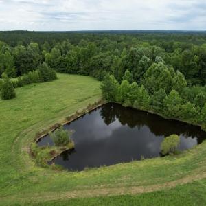 Photo #28 of SOLD property in 2000 Watts Trail, Virgilina, VA 107.9 acres
