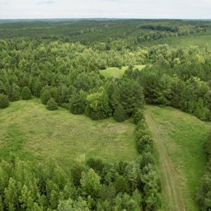 Photo #29 of SOLD property in 2000 Watts Trail, Virgilina, VA 107.9 acres