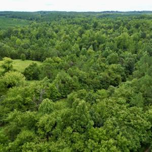Photo #30 of SOLD property in 2000 Watts Trail, Virgilina, VA 107.9 acres