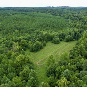 Photo #33 of SOLD property in 2000 Watts Trail, Virgilina, VA 107.9 acres