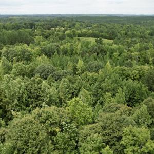 Photo #35 of SOLD property in 2000 Watts Trail, Virgilina, VA 107.9 acres