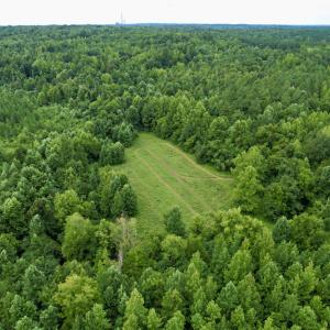 Photo #36 of SOLD property in 2000 Watts Trail, Virgilina, VA 107.9 acres