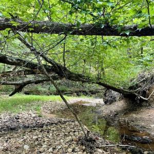 Photo #39 of SOLD property in 2000 Watts Trail, Virgilina, VA 107.9 acres