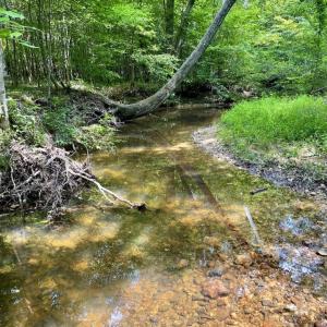 Photo #40 of SOLD property in 2000 Watts Trail, Virgilina, VA 107.9 acres