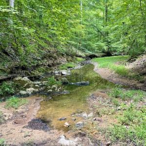 Photo #41 of SOLD property in 2000 Watts Trail, Virgilina, VA 107.9 acres