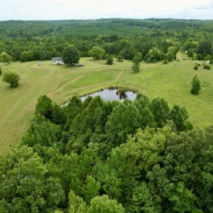 Photo #17 of SOLD property in 2000 Watts Trail, Virgilina, VA 107.9 acres