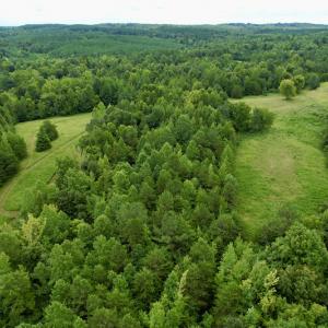 Photo #19 of SOLD property in 2000 Watts Trail, Virgilina, VA 107.9 acres