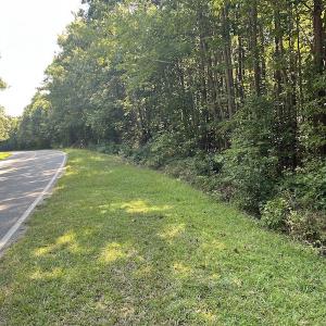 Photo #15 of SOLD property in Off Old Gaston Road, Gaston, NC 10.0 acres