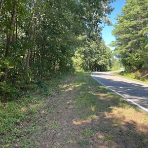 Photo #16 of SOLD property in Off Old Gaston Road, Gaston, NC 10.0 acres