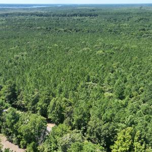 Photo #7 of SOLD property in Off Old Gaston Road, Gaston, NC 10.0 acres