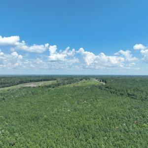 Photo #3 of SOLD property in Off Old Gaston Road, Gaston, NC 10.0 acres