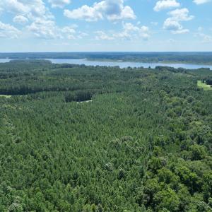 Photo #6 of SOLD property in Off Old Gaston Road, Gaston, NC 10.0 acres