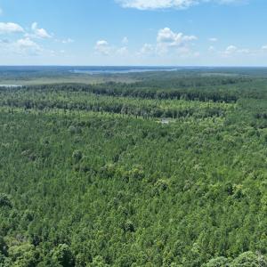 Photo #5 of SOLD property in Off Old Gaston Road, Gaston, NC 10.0 acres