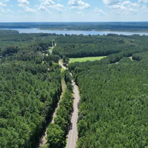 Photo #2 of SOLD property in Off Old Gaston Road, Gaston, NC 10.0 acres