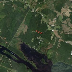 Photo #17 of SOLD property in Off Old Gaston Road, Gaston, NC 10.0 acres