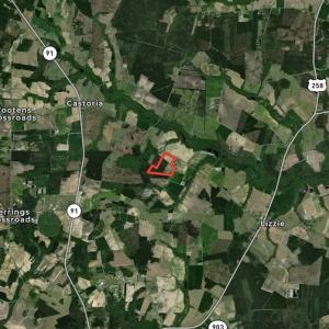 Photo #38 of SOLD property in Off Vandiford Thomas Road, Snow Hill, NC 60.8 acres