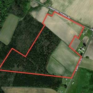 Photo #1 of SOLD property in Off Vandiford Thomas Road, Snow Hill, NC 60.8 acres