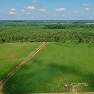 Photo #3 of SOLD property in Off Vandiford Thomas Road, Snow Hill, NC 60.8 acres