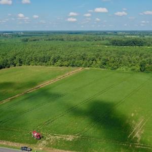 Photo #4 of SOLD property in Off Vandiford Thomas Road, Snow Hill, NC 60.8 acres
