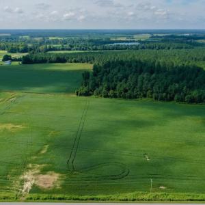 Photo #5 of SOLD property in Off Vandiford Thomas Road, Snow Hill, NC 60.8 acres