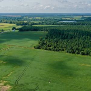 Photo #6 of SOLD property in Off Vandiford Thomas Road, Snow Hill, NC 60.8 acres