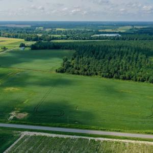 Photo #7 of SOLD property in Off Vandiford Thomas Road, Snow Hill, NC 60.8 acres